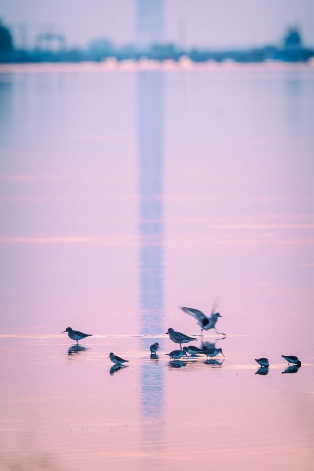 Foto - 1915 Çanakkale Köprüsü'nde müthiş görüntüler
