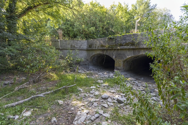 Foto - 1935’ten beri ilk kez oluyor! İngiltere'yi kara kara düşündüren görüntü
