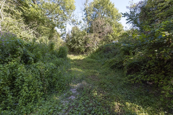 Foto - 1935’ten beri ilk kez oluyor! İngiltere'yi kara kara düşündüren görüntü