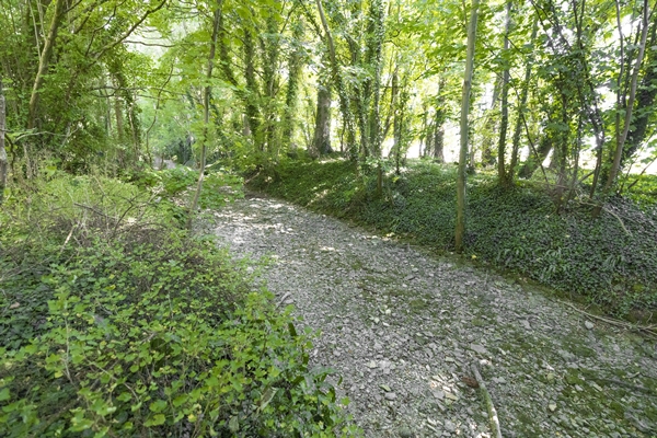 Foto - 1935’ten beri ilk kez oluyor! İngiltere'yi kara kara düşündüren görüntü