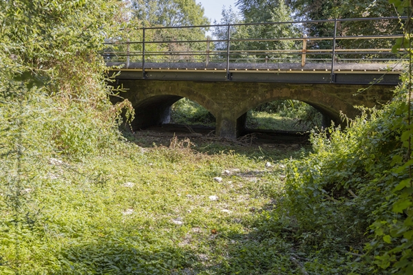 Foto - 1935’ten beri ilk kez oluyor! İngiltere'yi kara kara düşündüren görüntü
