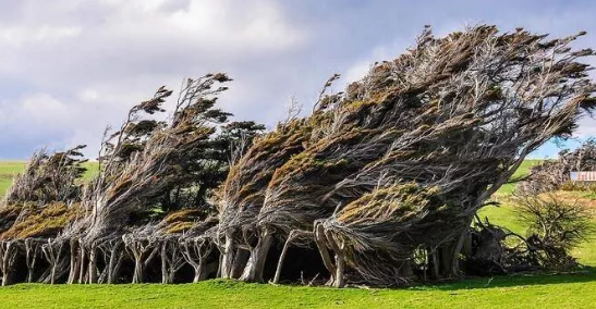 Foto - 1939'da keşfedilmişti, bilim insanları açıkladı! Sırrı çözüldü
