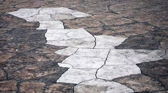 Foto - 1939'da keşfedilmişti, bilim insanları açıkladı! Sırrı çözüldü