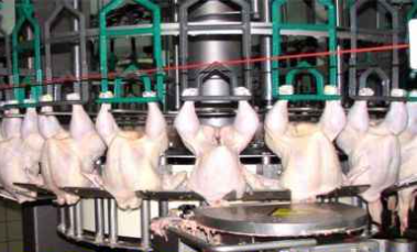 Foto - 1980 yılından beri Türkiye'de olan Taylandlı tavuk devinden flaş karar! Satışa çıkardılar