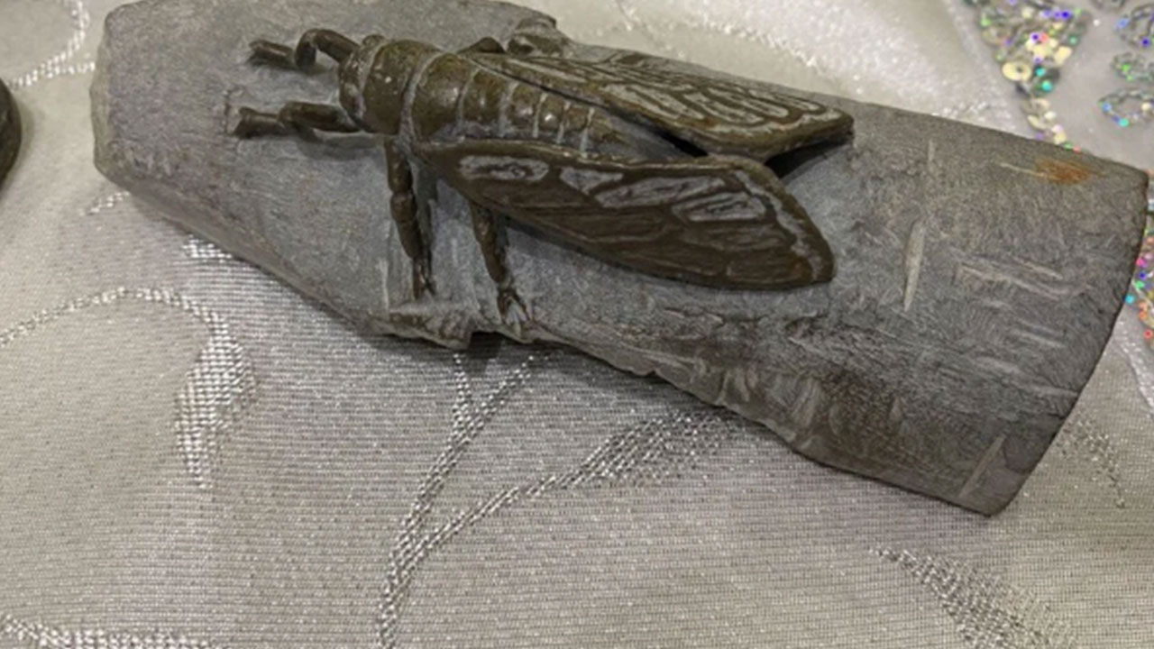 Foto - 1991 yılında meyve bıçağıyla başladı! Taş ve odun parçalarını bulup dönüştürüyor