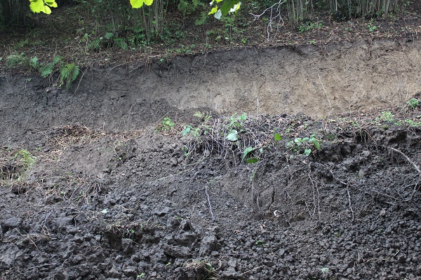 Foto - 2 asırlık cami ise... Bu mahalle çöküyor 6 ev tahliye edildi