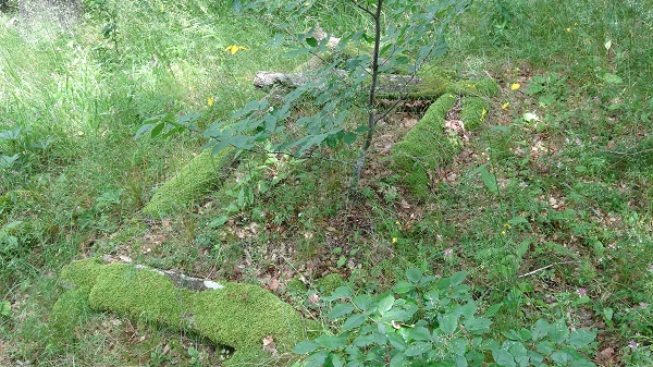 Foto - 2 asırlık mezarlık yok olmak üzere... İşte Türkiye'nin en ilginç mezarlığı