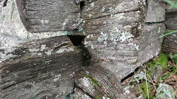 Foto - 2 asırlık mezarlık yok olmak üzere... İşte Türkiye'nin en ilginç mezarlığı