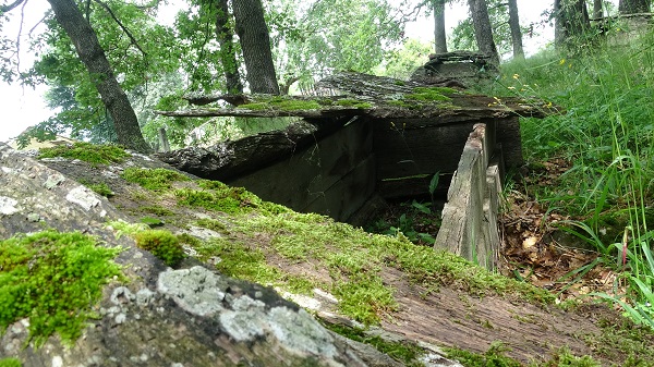 2 asırlık mezarlık yok olmak üzere... İşte Türkiye'nin en ilginç mezarlığı