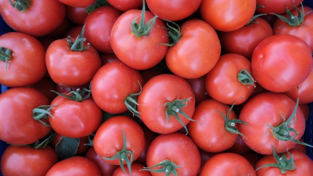 Foto - 2 bin 500 nüfuslu köyde 10 bin tona yakın üretim yapıldı! Avrupa ve Ortadoğu'dan talep yağıyor