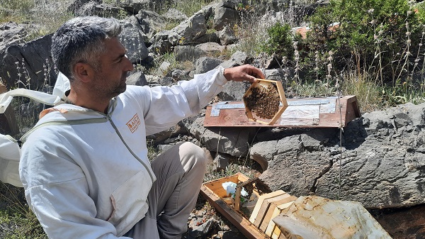 Foto - 2 bin 500 rakımlı yaylada arı mesaisi