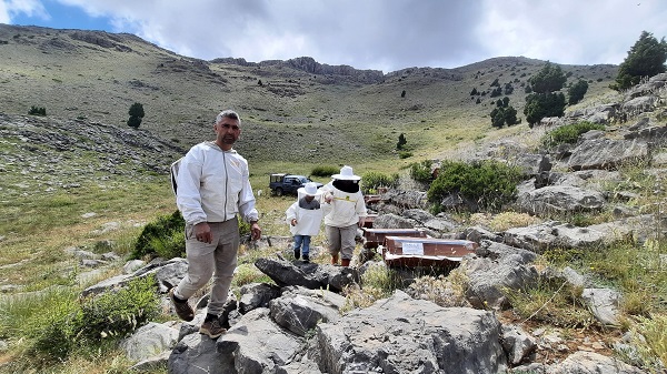 Foto - 2 bin 500 rakımlı yaylada arı mesaisi