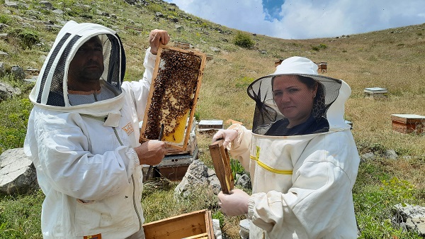 Foto - 2 bin 500 rakımlı yaylada arı mesaisi