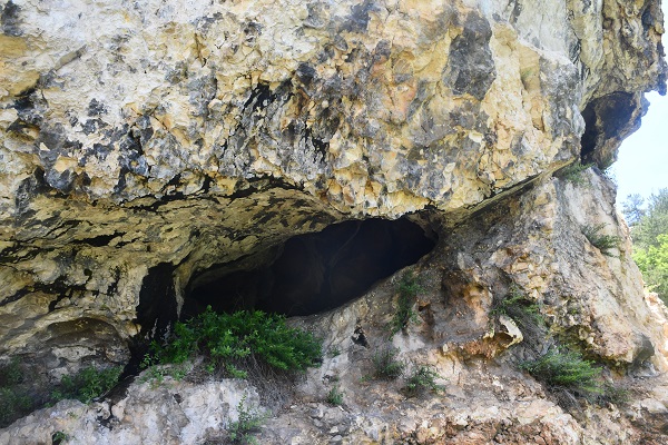 Foto - 2 bin 700 yıllık kaya mezarlarının üzerinden süzülüyor! Bütün köy bu bala sadece bakmakla yetiniyor
