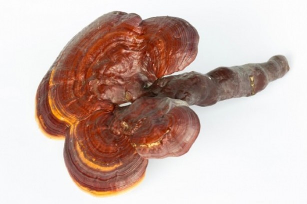 Foto - 2 bin yıllık mucize