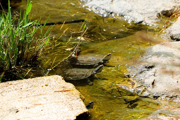 Foto - 2 bin yıllık tarihi yapı hayran bırakıyor