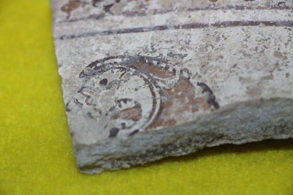 Foto - 2 binden fazla bulundu! Demir Çağ dönemine ait