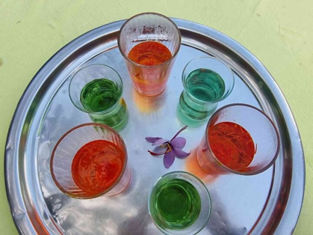 Foto - 2 dönümde sadece 500 gram çıkıyor! Kilosu tamı tamına 60 bin TL