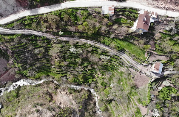 Foto - 2 dönümlük araziyi böyle kazandı! 90 derece eğimli arazide tarım yapıyor