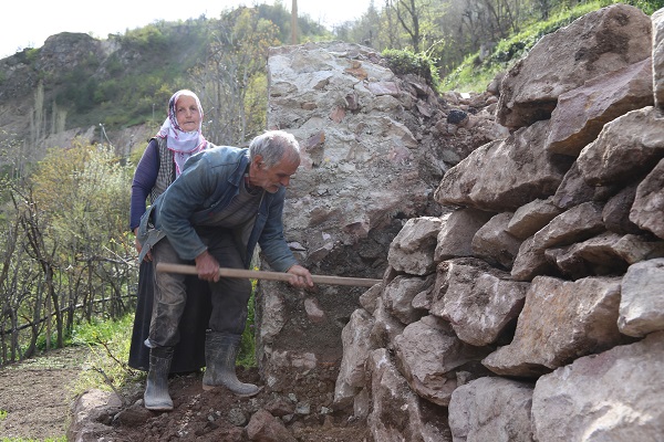 Foto - 2 dönümlük araziyi böyle kazandı! 90 derece eğimli arazide tarım yapıyor