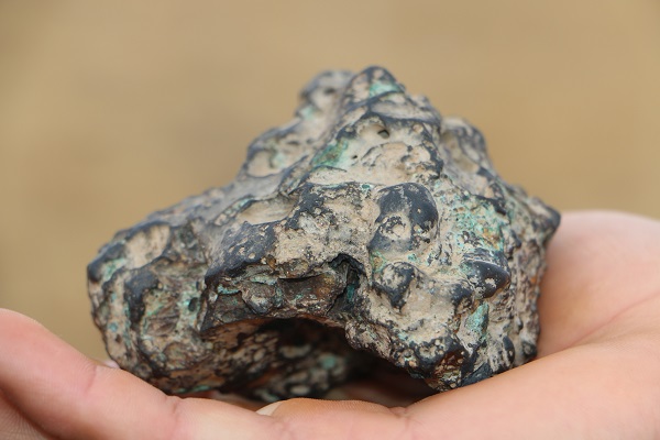 Foto - 2 Eylül'de biber tarlasına düştü! 4 milyon liradan satışa çıktı