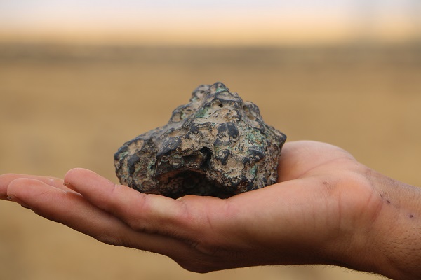 2 Eylül'de biber tarlasına düştü! 4 milyon liradan satışa çıktı