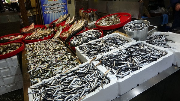 Foto - 2 günlük av yasağı hamsiye yaradı mı? 