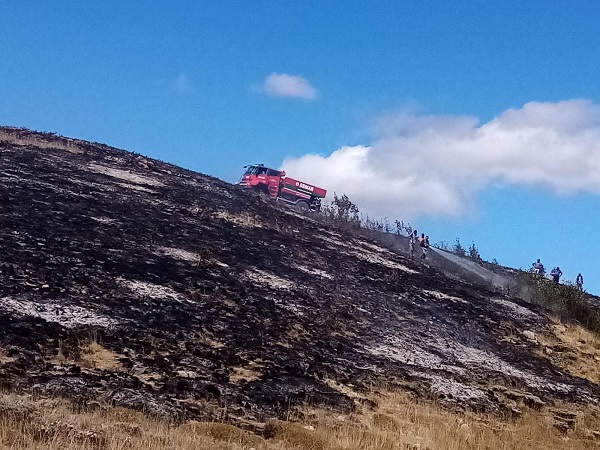 Foto - 2 hektarlık alan küle döndü