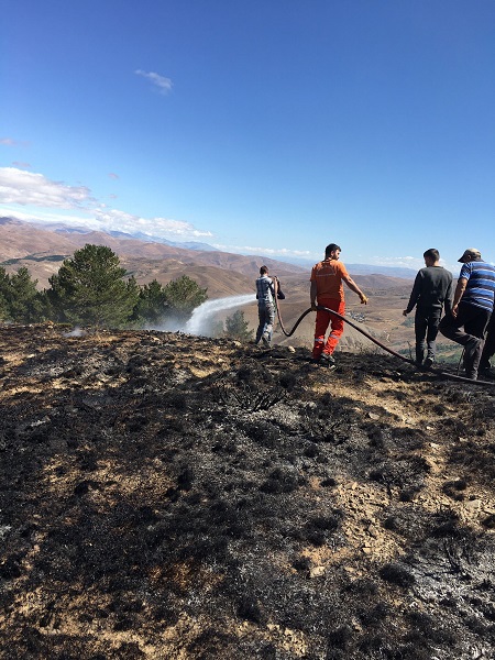 Foto - 2 hektarlık alan küle döndü