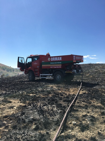 Foto - 2 hektarlık alan küle döndü