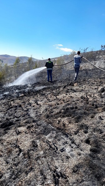 Foto - 2 hektarlık alan küle döndü