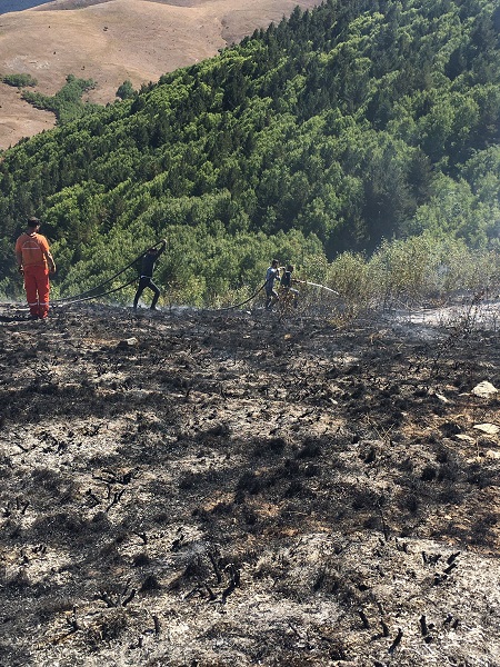 Foto - 2 hektarlık alan küle döndü