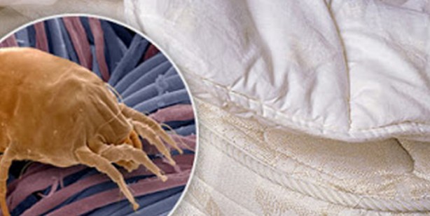 Foto - 2 Malzemeyle yatağınız tertemiz! Bakın yeniden pırıl pırıl işte böyle yapan en güçlü yöntem! tüyoları öğrenin!