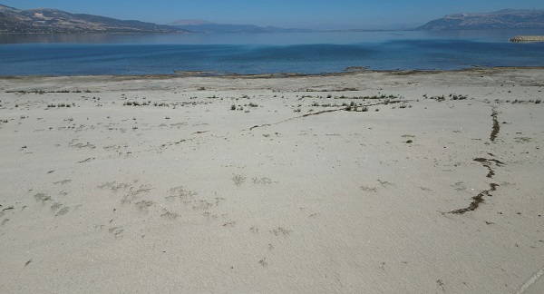 Foto - 2 metre çekildi koku tehdidi başladı! O gölde korkutan manzara!