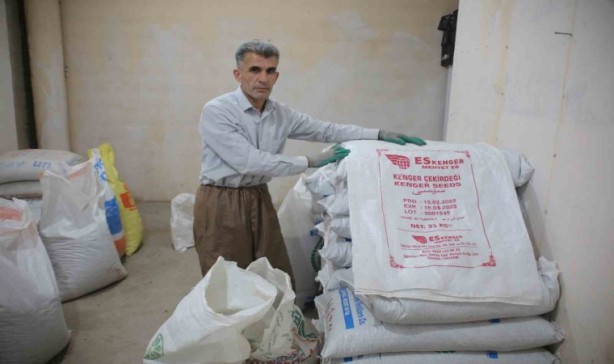 2 milyon dolar kazandıran bitki! Dağlara akın ettiler! Ağızlar açık kaldı! O şehrimizde yetişiyor