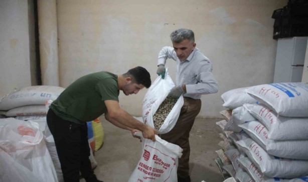 Foto - 2 milyon dolar kazandıran bitki! Dağlara akın ettiler! Ağızlar açık kaldı! O şehrimizde yetişiyor