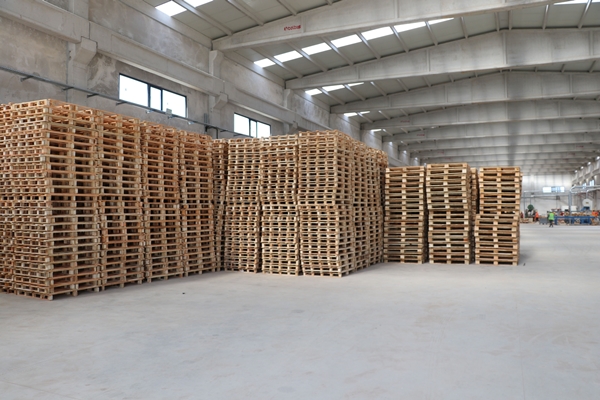 Foto - 2 milyon dolarlık yatırımla kuruldu! Talep yağıyor