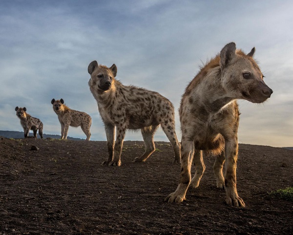 Foto - 2 milyondan fazla karenin arasından seçildi! İşte 2023 yılının en iyi fotoğrafları