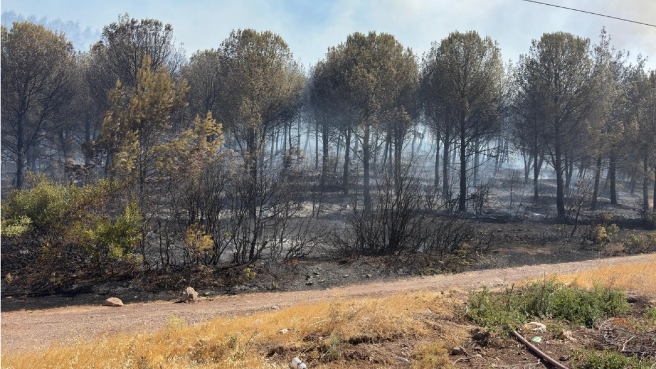 Foto - 2 uçak, 10 helikopter! Soma'da hareketli saatler
