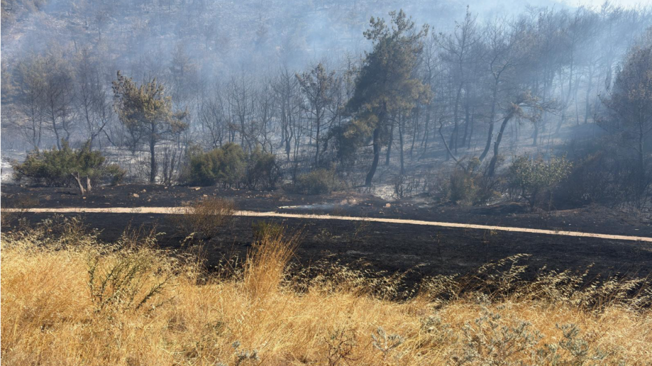 Foto - 2 uçak, 10 helikopter! Soma'da hareketli saatler