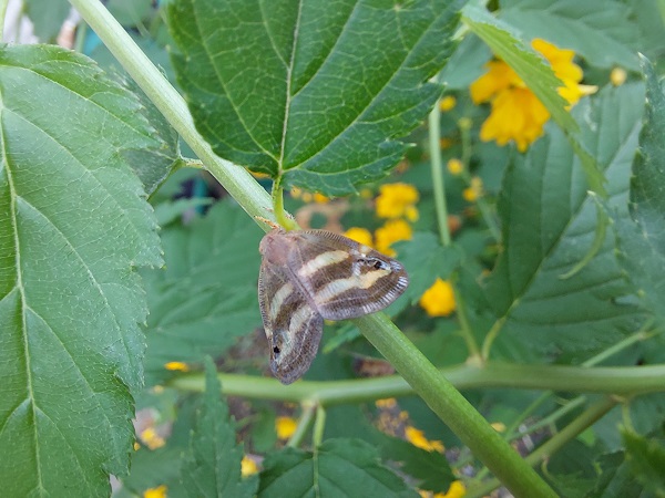 Foto - 2 yıl sonra tekrar ortaya çıktı