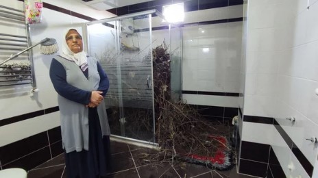 Foto - 2 yıldır boş olan eve giren kadın şoke oldu! 'Hayatımda böyle bir şey görmedim'