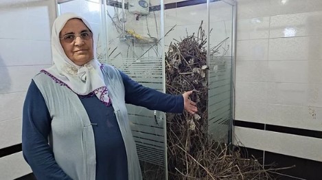 Foto - 2 yıldır boş olan eve giren kadın şoke oldu! 'Hayatımda böyle bir şey görmedim'