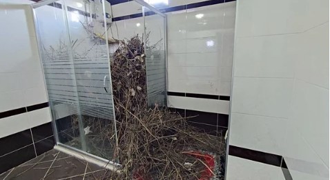 Foto - 2 yıldır boş olan eve giren kadın şoke oldu! 'Hayatımda böyle bir şey görmedim'