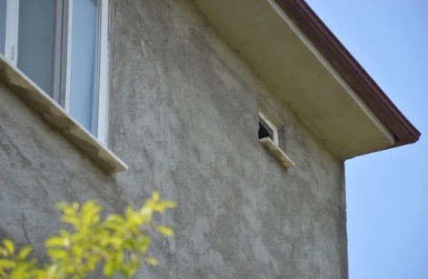 Foto - 2 yıldır boş olan eve giren kadın şoke oldu! 'Hayatımda böyle bir şey görmedim'