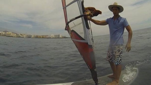 Foto - 2 yıldır karış karış dünyayı gezen tavuk!