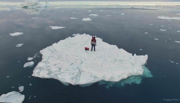 Foto - 2 yıldır karış karış dünyayı gezen tavuk!