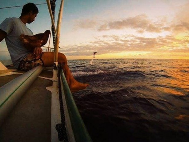 Foto - 2 yıldır karış karış dünyayı gezen tavuk!