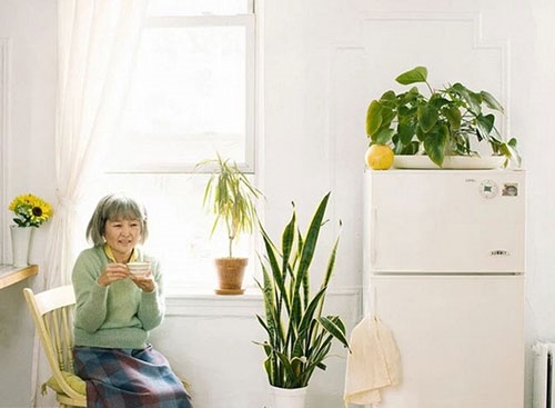 Foto - 2 yıldır yaşlı numarası yapıyor