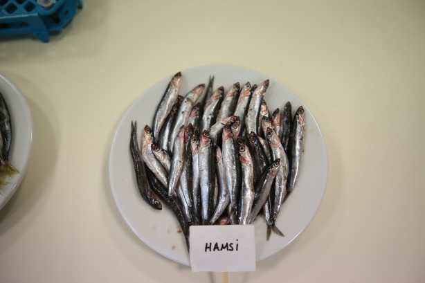 Foto - 2 yıllık araştırmayla ortaya çıktı! İşte en sağlıklı balık